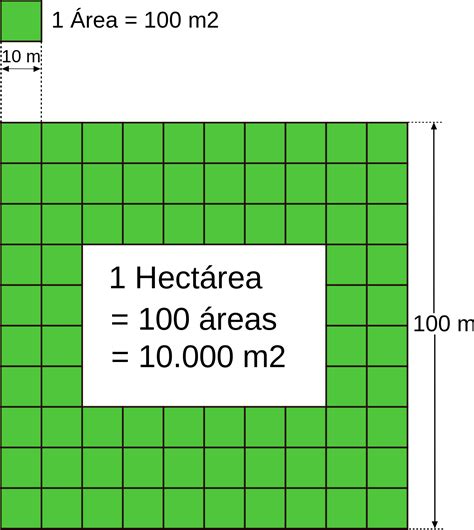 Por lo tanto, si una hectárea de tierra está dividida en 100 cuadras de 100 metros de lado, entonces cada cuadra tendrá un área de 1.000 metros cuadrados. Esto significa que una hectárea tiene 100 cuadras, y cada cuadra tiene 1.000 metros cuadrados. Una hectárea de tierra mide aproximadamente 10.000 metros cuadrados.