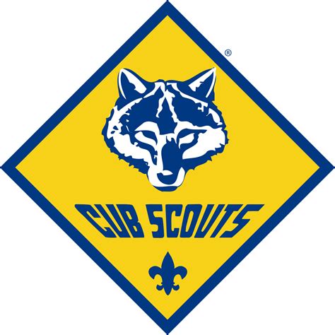 Cub Scout Boy Scouts of America