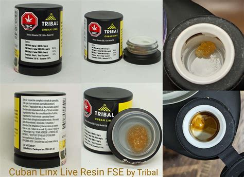 Cuban Linx by Tribal (Cannara Biotech Inc.)