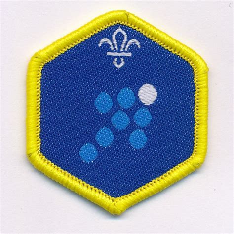 Cubs Team Leader Challenge Award Scouts