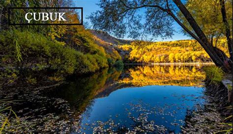 Cubuk Halı ve Koltuk Yıkama