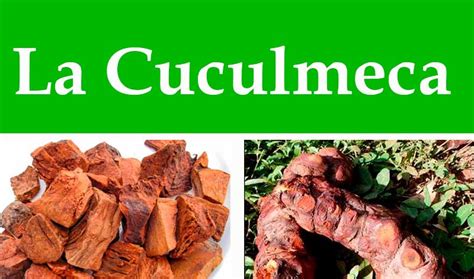 Cuculmeca treatment again anemia and others - plantassalud.com