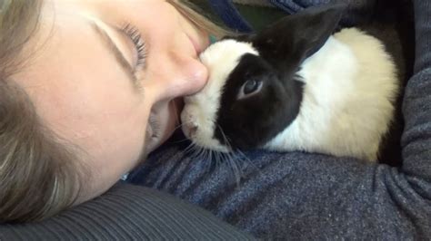 Cuddle_Bunnyy Leaked [PPV] 😈 53 Videos