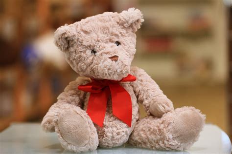 Cuddly - suitable for or inviting cuddling: a cuddly teddy bear. Also, cud•dle•some (kud′ l səm). Collocations: a cuddly [kitten, child, boyfriend], a cuddly [toy, bunny, bear], cuddly and …