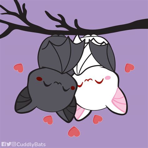 Cuddly Bats - Facebook