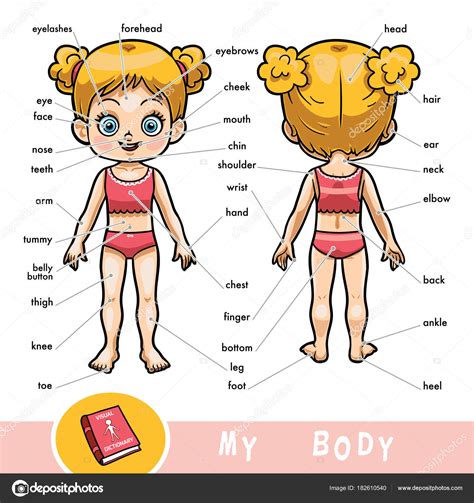 Cuerpo humano una guía ilustrada de cada parte de la. - Manual de taller yamaha dt 50 rsm.