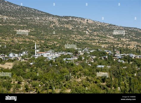 Cukurbag Halı ve Koltuk Yıkama