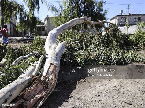 Cukurkamis Halı ve Koltuk Yıkama