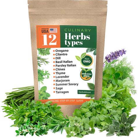 Culinary Herb Seeds Garden Collection - Amazon.com