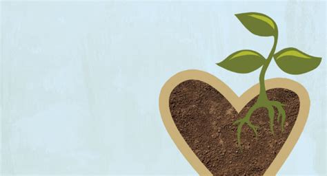 Cultivar el corazon/ cultivating the heart. - The ultimate child care marketing guide tactics tools and strategies.