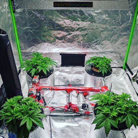 Cultivate Cannabis Convenience with a Weed Growing Tent Small**