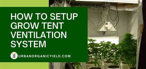 Cultivate Success: The Ultimate Guide to Grow Tent Intake**