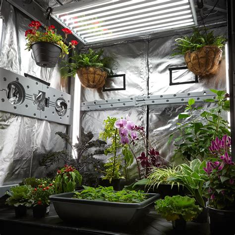 Cultivate Your Dream Garden: An In-Depth Guide to Indoor Greenhouse Tents