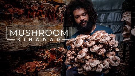 Cultivating Connoisseur and Medicinal Mushrooms PARAGRAPHIC