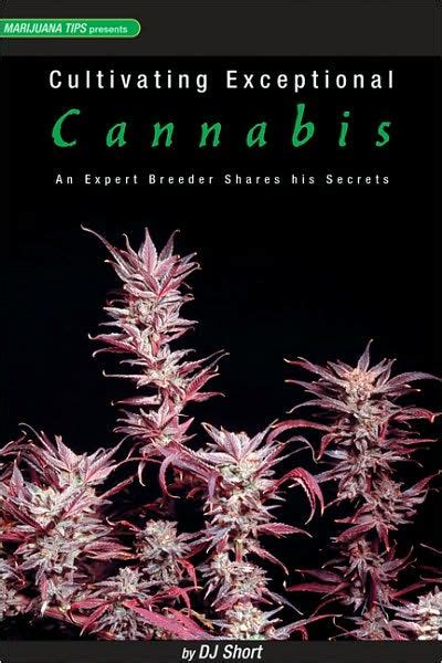 Cultivating exceptional cannabis an expert breeder shares his secrets. - A tu per tu con padre pio.