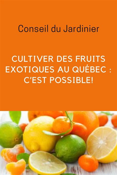 Cultiver des fruits exotiques au Québec : c’est possible!