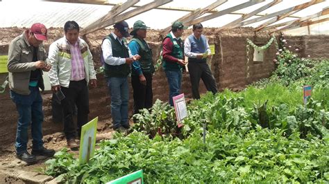 Cultivo de hortalizas en el cusco. - Register adhd guide career success challenges.