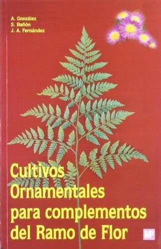 Cultivos ornamentales para complementos del ramo d. - 2006 suzuki ltr 450 ltp450 manuale di riparazione per officina.