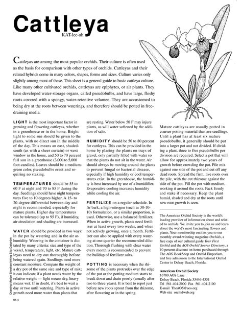 Culture Care Sheets - ORCHID NERD