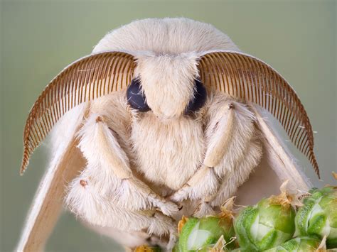 Cum In Moth Onlyfans Leak