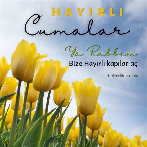 Cuma Halı ve Koltuk Yıkama