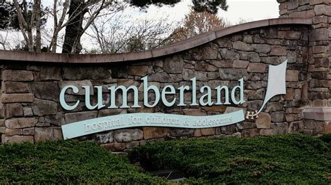 Cumberland Hospital Inpatient And Community Mental Health …