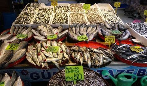 Cumhuriyet balık ve av market