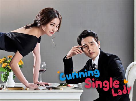 Cunning Single Lady subtitles