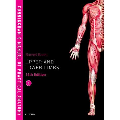 Cunningham manual of practical anatomy vol 1. - Linee guida per l'analisi delle conseguenze dei rilasci chimici.