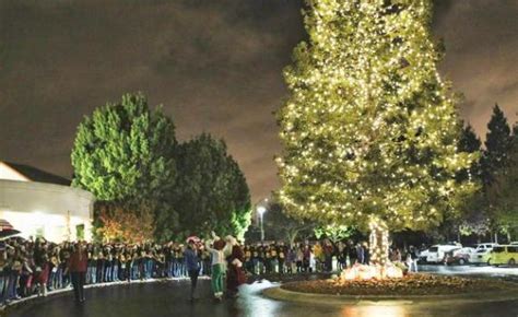 Cupertino’s Community Tree Lighting set for Dec. 1