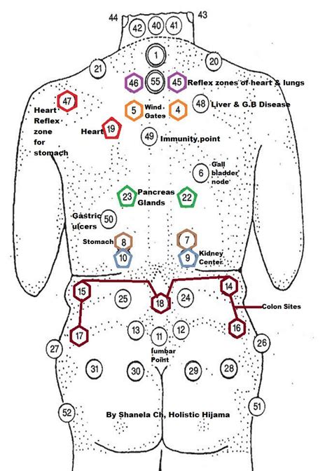 Cupping Points Diagram