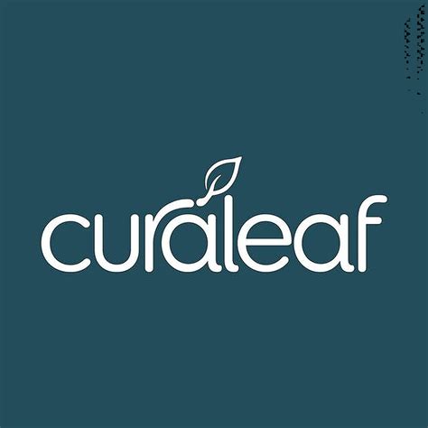42% of Curaleaf employees would recommend working there to a friend based on Glassdoor reviews. Employees also rated Curaleaf 2.8 out of 5 for work life balance, 2.7 for culture and values and 2.7 for career opportunities.. 