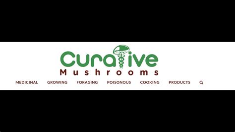 Curative mushrooms reviews. I'm Oliver Carlin, the guy behind Curative Mushrooms. I began researching different ways of improving my health back in 2011. That led me to discovering the amazing health benefits that mushrooms have on the body. My goal is to share information about hunting, growing and cooking mushrooms that taste amazing with as many people as possible. 