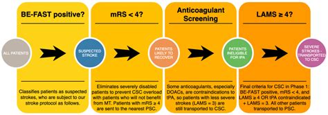 Cureus Large Vessel Occlusion Identification Through …