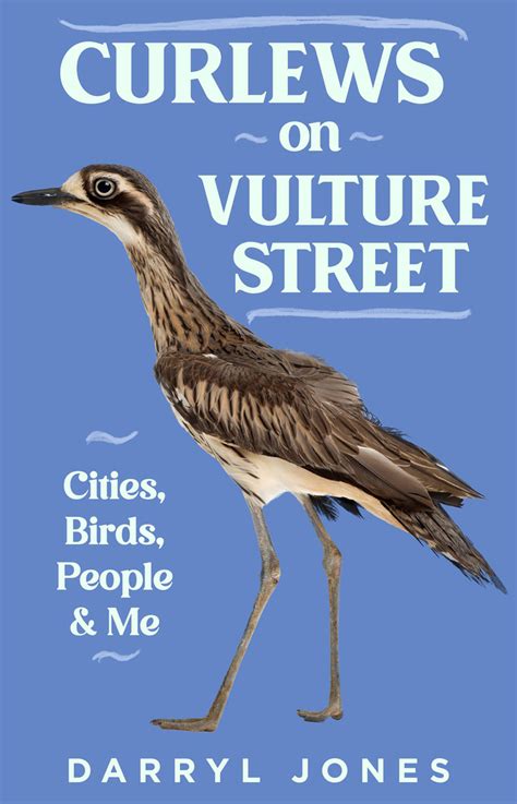 Curlews on Vulture Street (Darryl Jones, NewSouth)