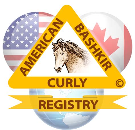 Curly Horse FAQs - ABCR