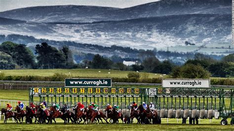 Curragh Going Report: Ground is... - The Curragh Racecourse