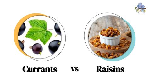 Currants vs Raisins — Health Benefits of …