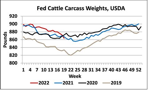 Current Beef Prices Hanging Weight