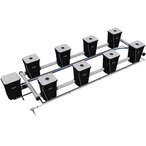 Current Culture Under Current XXL13 – RDWC Hydroponics System …