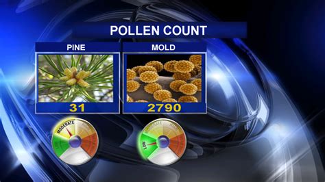 Pollen Breakdown covers specific pollens like ragweed, while Today’s 