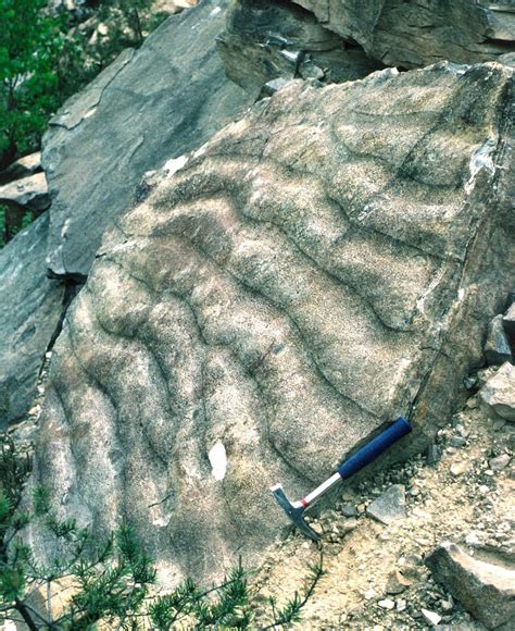 The troughs and ridges of fossilized ripple marks in sandstone and siltstones are hardened versions of the short-lived ripples in the loose sand of a modern-day stream, lake, sea, or sand dune. Ripples may be made by water or, in sand dunes, by wind. The symmetry of water-current ripple marks indicate whether they were formed by gentle waves or .... 