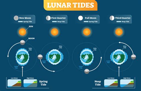 Current tide. Tidal currents, as their name suggests, are generated by tides.Tides are essentially long, slow waves created by the gravitational pull of the moon, and to a lesser degree, the sun, … 