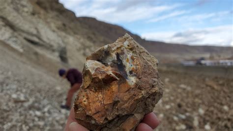 1) Horse Heaven Hills - 0 minutes - 46°07'53.8″N 119°50'46.7″W. The specimens found here are opalized wood, petrified wood, chalcopyrite, and galena. These stones will be mostly in the draws and the river washes. Other than rockhounding, this area is full of picnic areas and stunning scenery. This area is typically dry and windy .... 