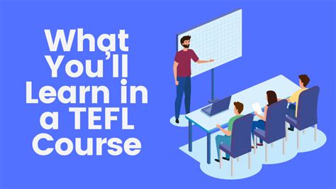 curriculum highlights: you'll