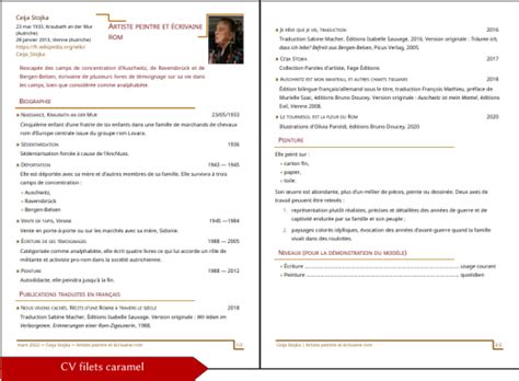 Curriculum Vitae Extensions