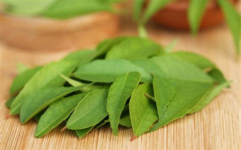 Curry leaves indian cuisine. Things To Know About Curry leaves indian cuisine. 
