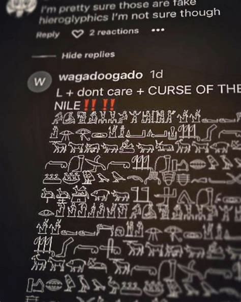 Curse of the nile copy paste. Unicode is the standard encoding for all computer characters. It is a global agreement on how our devices render the symbols for all languages, math, and even emojis. The mirrored text generator replaces the Roman alphabet with Unicode symbols that look like the reverse of the Roman characters. 