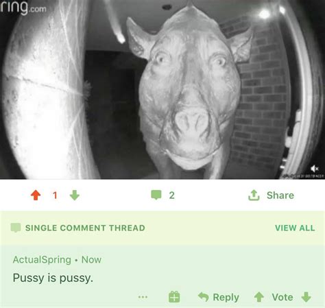 Cursed_Cow : r/cursedcomments - Reddit