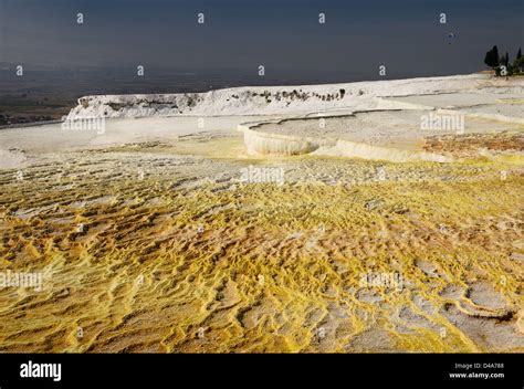 Curuksu Halı ve Koltuk Yıkama